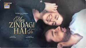Meri Zindagi Hai Tu Episode 22